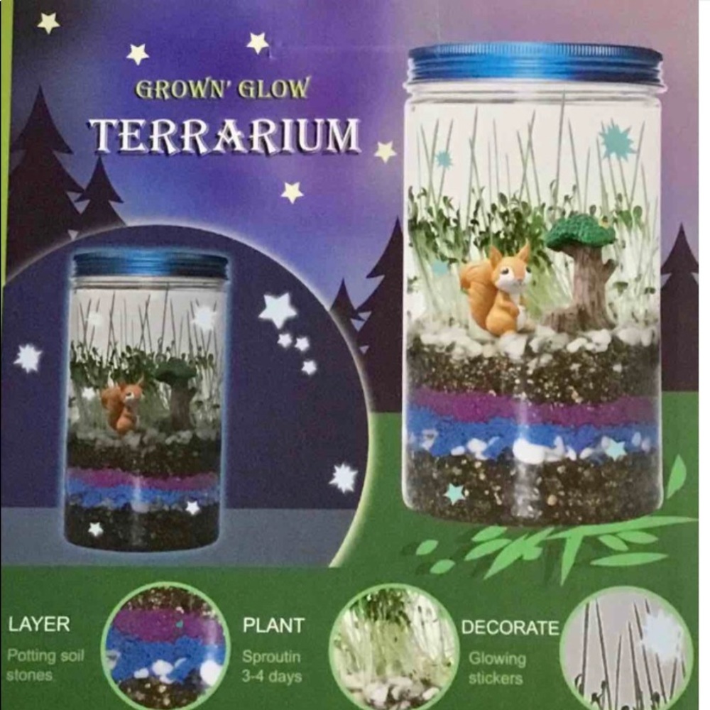GrownN Glow Terrarium For Kids -(Squirrel) Educational Science Kit